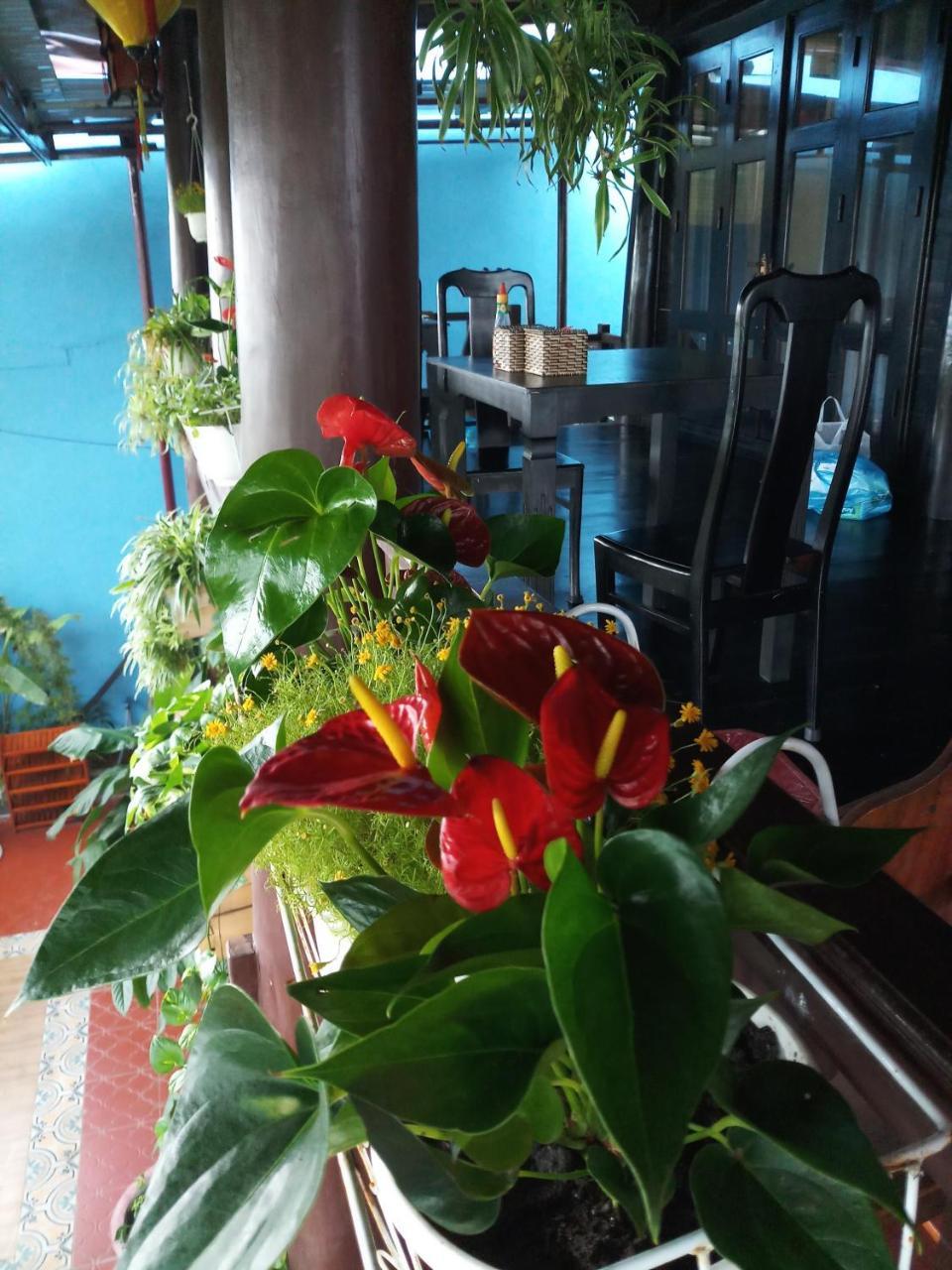 An Bang Stilt House Villa ฮอยอัน ภายนอก รูปภาพ